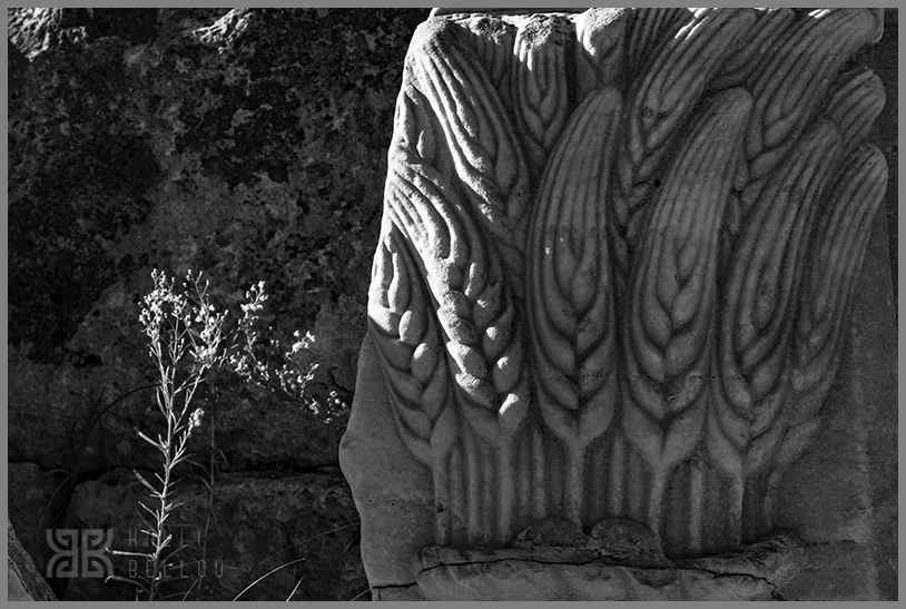 � Kalli Bellou / www.kallibellou.com